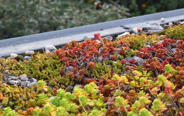 the cost of Cheylesmore green roof installation