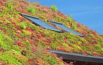 Cheylesmore living roof systems